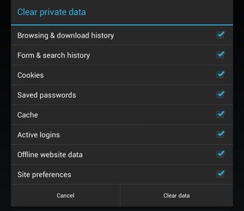 Clear private data